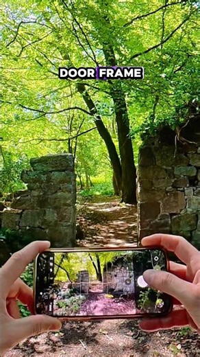 POV Real life Enchanted woodland! #countryside #rural #rurallife #countrylife #farming