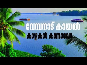 |വേമ്പനാട് കായൽ കാഴ്ചകൾ ഇതുപോലെ | The Longest lake in India | safiyateacheronline