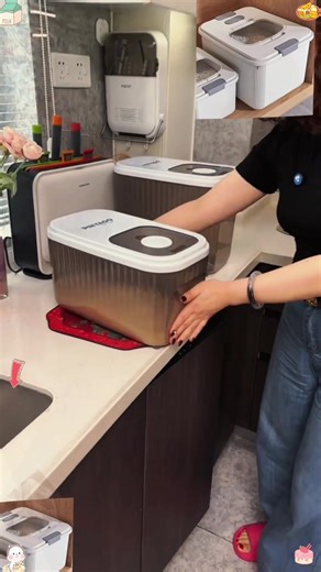Automatic Rice Dispenser for Kitchen Organization