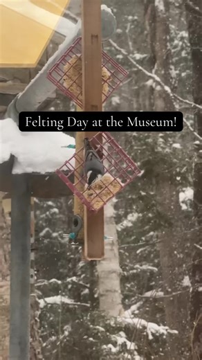 Felting class day at the Birds of Vermont Museum! Interested in joining next time, or curious about other events? Check our website for new events. (Be sure to check back regularly for updates) #birdsofvermont #birds #museum #vermont #felting