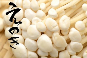 長野県飯田市にある「きのこ工場」で、きのこの成長過程を取材してきました | 株式会社LIG(リグ)｜DX支援・システム開発・Web制作