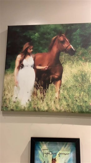 The animal whisperer 💗💙🦄💙? (@animalwhispererno1)’s videos with original sound - The animal whisperer 💗💙🦄💙?