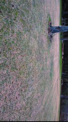 Texas sunset 🌅 first time using dji drone was pretty fun will be flying again !! @AALOP thx #drone #sunset #fyp #djimini2 #cinematic