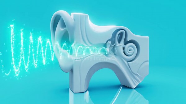 Conceptual 3D animation of an ear anatomy