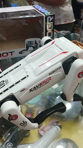 remote control robot