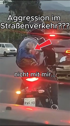 Dieser Rucksack hilft gegen jeden Drängler auf der Straße🐕#motorcycle #shorts