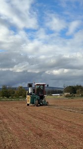 28K views · 130 reactions | Step into the field with us! Yesterday, we were baling flax and watching the machines work their magic ✨ How cool is that little baler?! #supportlocalbusiness #castleton #castletonfarm #sustainablefarming #scottishfarming #arablefarming #farming #flax #balingflax | Castleton Farm | Facebook
