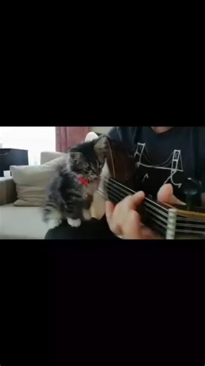 ‎عوادّجي‎ on Instagram: "❤❤🎶🎶"