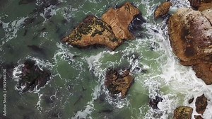 Overhead aerial, waves crash on California coast