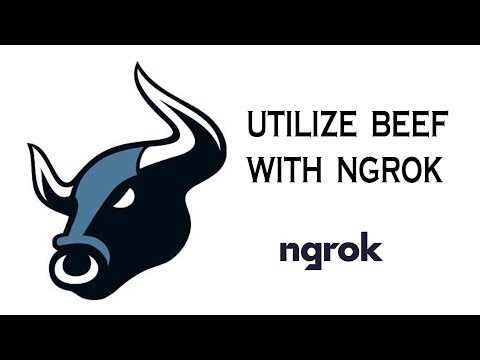 Utilize Beef with Ngrok | beef-master part 2 | HackTech Academy