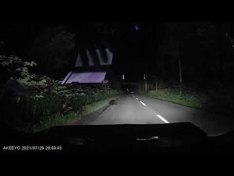【事故映像】【閲覧注意】【衝突映像】2021-7-29ヒグマ
