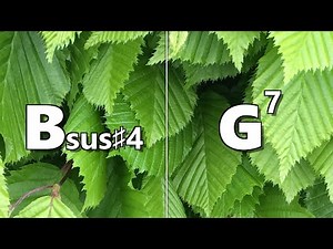 Bsus #4 to G7 Backing Track