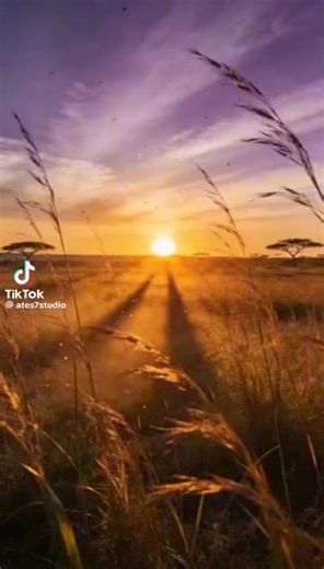 user JDL (@jdl11251964)’s videos with original sound - user JDL