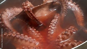 Hot cooked octopus freshly prepared with steam coming rising Stock Video