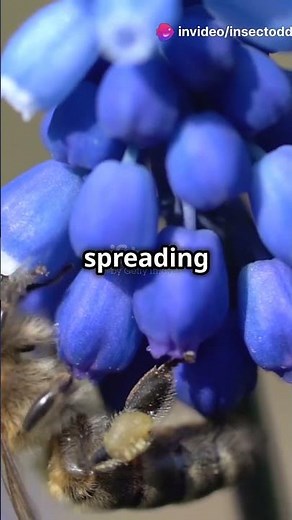 🍯 "Blue Honey?! The Bizarre Secret Behind This Colorful Surprise! 💙🐝"