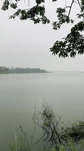 Village de Gembong, ville de Pati, : vidéo de stock (100 % libre de droit) 4011695481 | Shutterstock