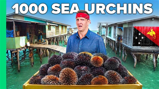 Why sea urchins are a feast food in Papua