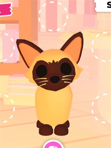 Adopting Siamese Cats in Adopt Me: A Guide