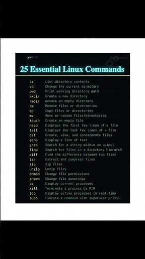 25 Essential Linux Commands Every Beginner Should Know!