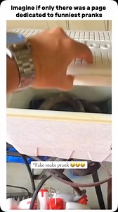 41 reactions · 3 comments | Fake snake prank 藍藍藍藍 | Funny.Vids | Facebook