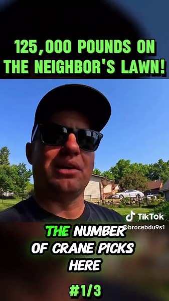 Expert Tree Removal Techniques with a Crane