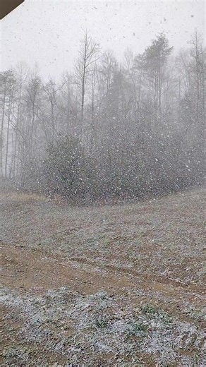 Candy Moore on Reels