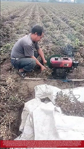 DIY Peanut Harvester: A Efficient but Risky Farming Tool