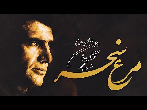 Mohammadreza Shajarian - Morghe Sahar (Live in Concert) - اجرای زنده تصنیف مرغ سحر استاد شجریان