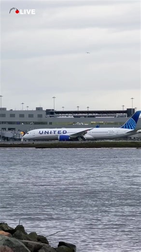 LIVE SFO. SAN FRANCISCO AIRPORT. PLANE SPOTTING STREAM. (December 23, 2025) #fblifestyle #sfflights #sfoairport | SF.Flights