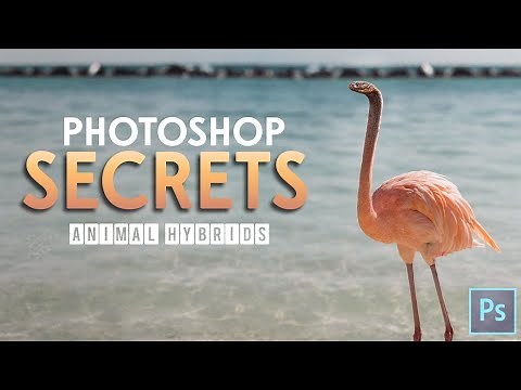 Photoshop Tutorial - Animal Hybrids