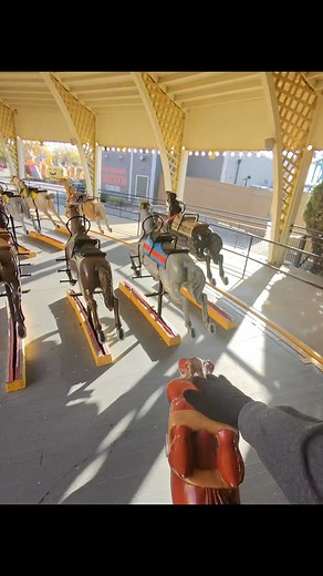 I really needs to make some friends. Have you been on these racing horses at Cedar Point #cedardowns #carousel #cedarpoint #themepark #Pov #ohio #amusementpark | TopThrill Brothers
