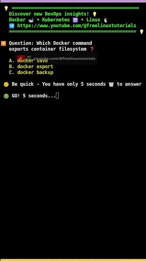 🛳️ Docker command to export file system