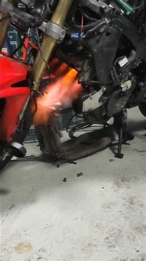 Honda CBR 600RR 4 Cylinders Engine 🔥#honda #cbr600rr #cbr