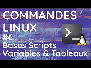 Commandes LINUX | Bases Scripts, Variables & Tableaux #6