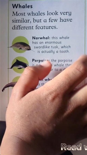 Do you know that whales look similar? #wethemoons #readwithwira