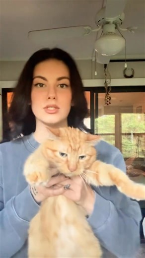 Random Cats | Videos de Cualquier Cosa