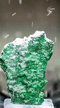 Zhangpu Paper-Cutting Art: 1000-Year Chinese Folk Craft & Intangible Heritage