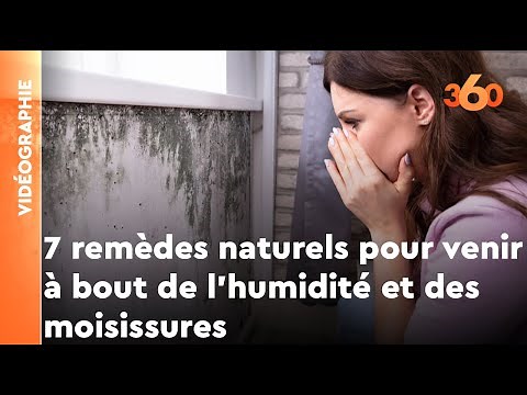 Côté maison: 7 remèdes naturels pour venir à bout de l’humidité et des moisissures
