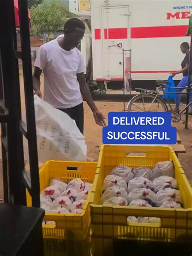 🐔💥 Fresh & Halal Kenchic Broilers! Get top-quality chicken at unbeatable wholesale prices — guaranteed freshness & big savings! 💰😍 📦 MOQ: 10kgs only 💸 Price: KSh 280/- per kg 🚚 Free delivery within 24hrs! 🔥 Call/WhatsApp us via the number in bio and get your order today! #KenchicBroilers #WholesaleChicken #KenyanTiktok 🇰🇪 #NairobiTiktokers #Roysambu