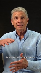 2.4K views · 309 reactions | In the Andean medicine wheel, the eagle...