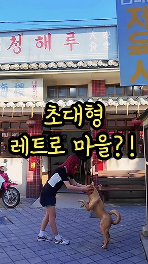 파트 82｜여기 대체 누가 만드셨어요...? ⠀ 옛날 마을을 진심으로 완벽 재현✨ 초대형 크기에 진짜 잘 꾸며놓은 곳이니 옛날 느낌 좋아하신다면 꼭 가보세요! ⠀ 📍장생포 고래문화마을 📍울산 남구 장생포고래로 271-1 🗓️⏰평일 09:00 ~ 18:00 주말 09:00 ~ 20:00 📍매주 월요일 정기 휴무 💰입장료 성인/청소년/어린이 전부 3,000원 ⠀ 🍜내부 먹거리 & 가게🍔 ⠀ 1. 커피(음료) 빵 파는 작은 카페 2. 실제 매점 (과자, 음료 파는 슈퍼) 3. 달고나 체험 가능 4. 국수 파는 국수가게 (영상 속 고양이 뒷 가게) 5. 컵빙수와 추억의 도시락, 라면 파는 막집 (짜장면, 콩국수, 비빔밥, 소떡소떡, 핫도그 등 판매) ⠀ 고래박물관 생태페험관 울산함도 함께 보시고! 저희처럼 모노레일 타고 들어가시는 것을 추천드립니다! (더 재미있어요) ⠀ 📍모노레일 (계속 탑승 가능) 💰성인 11,000원 청소년,군인,어린이 7,000원 ⠀ 👩🏼‍❤️‍�