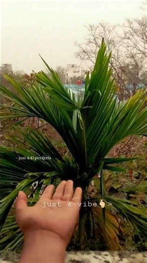 A day in my life ❤️ #explorepage #shortsfeed #explorepage #dailyvlog #collagevlog