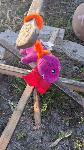 *BARNEY IS GETTING BURNED*hanging with friends