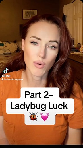 PART 2 What do you think? Was this a Godwink? Are ladybugs lucky? #goodluck #ladybugluck #lucky #ladybug #superstition #ladybugs #TerminalCancer #CancerPatient #Melanoma #Stage4cancer #FindingHope #BeingPositive #FindTheGood #ecstilson #Superstitious #Godwink #divine #divinesign | EC Stilson