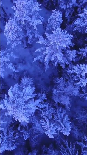 Singing through Psalms #music #christianmusic #psalms #bible