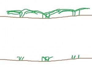 Common Bermuda spots growing matted/clumpy