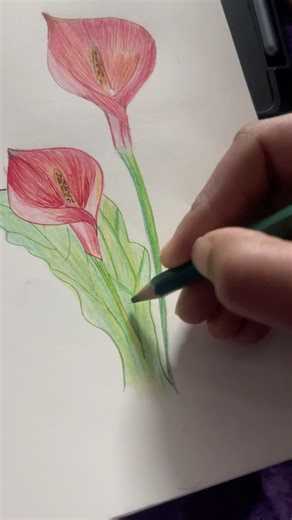 Simple flower shading🥰