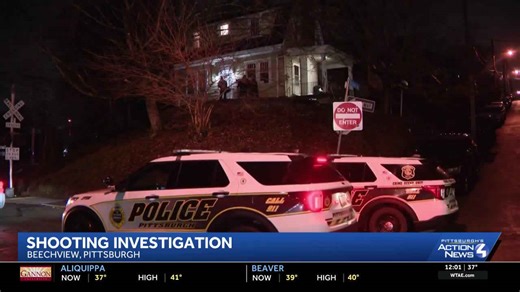 Pittsburgh police investigating a shooting in Pittsburgh's Beechview neighborhood