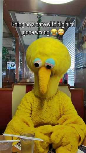 Big Bird or Pikachu: A Hilarious Encounter