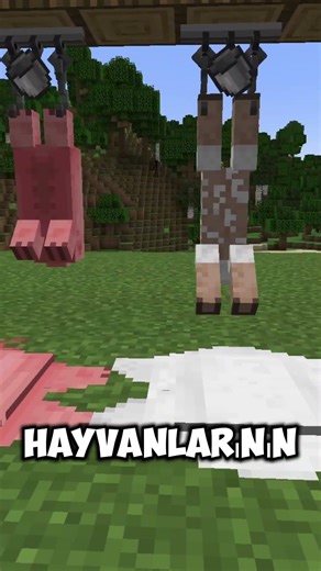 Is it possible to be a butcher in Minecraft?